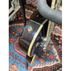 Guild guitarra M-75T
