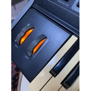 Moog Little Phatty Fase 2