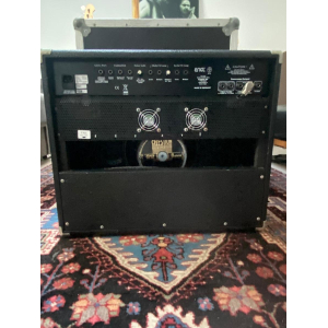 Engl Raider 100 + flycase