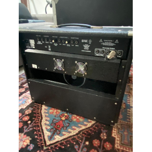 Engl Raider 100 + flycase