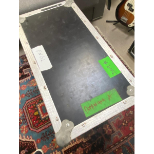 Engl Raider 100 + flycase