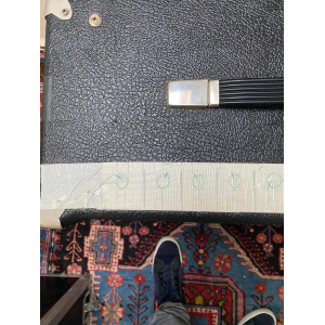 Engl Raider 100 + flycase