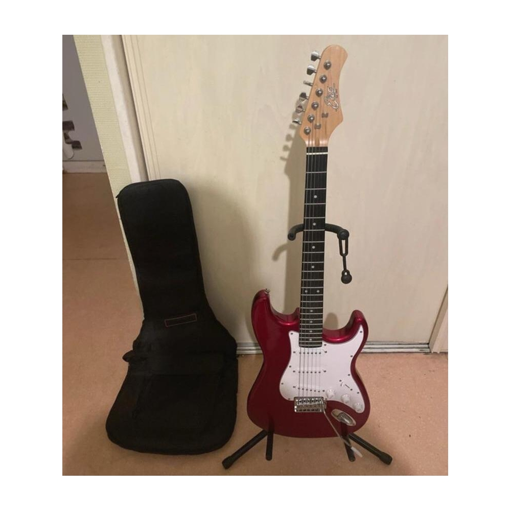 Eko ST300 + Frontman 10G