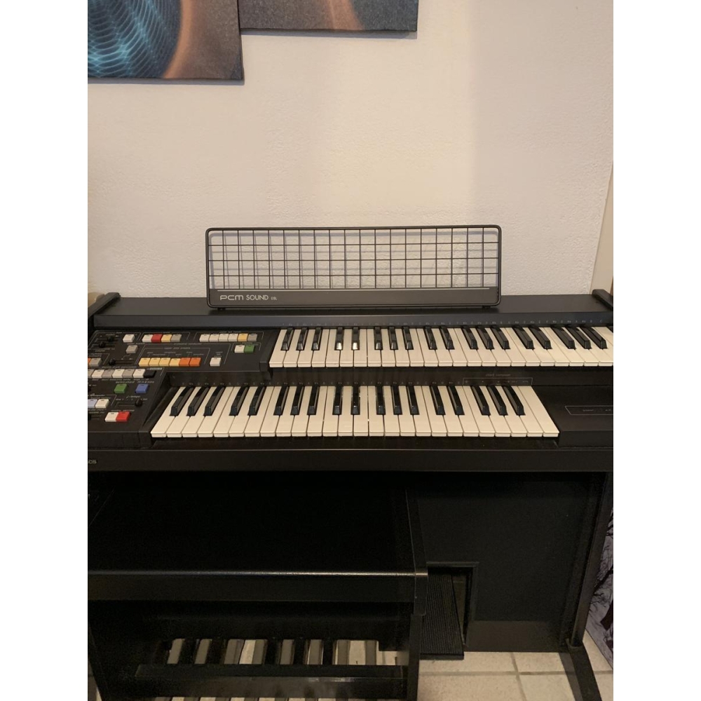 PCM Sound E8L - Órgano electrónico de doble teclado
