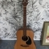 Takamine G320 NS Acoustic Guitar