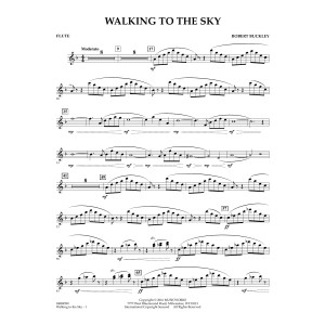 Walking to the Sky - Flute