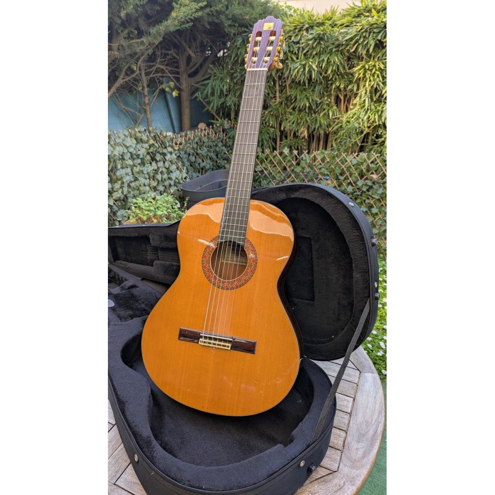 Alhambra 4P Classical Guitar and its case