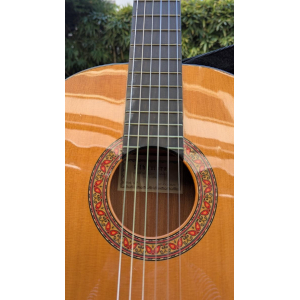 Alhambra 4P Classical Guitar and its case