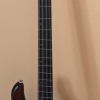 The Cort Action Bass is a versatile electric bass guitar that caters to the needs of both beginners and experienced players. Wit
