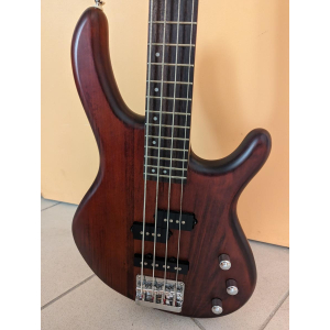 The Cort Action Bass is a versatile electric bass guitar that caters to the needs of both beginners and experienced players. Wit