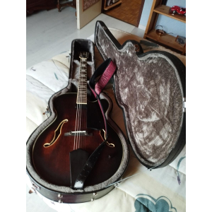 Washburn J600 es un increíble y versátil guitarra eléctrica semi-hueca. Con su elegante diseño y construcción de alta 