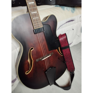Washburn J600 es un increíble y versátil guitarra eléctrica semi-hueca. Con su elegante diseño y construcción de alta 