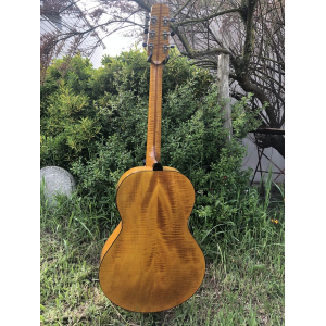 Weber Yellowstone Guitare archtop