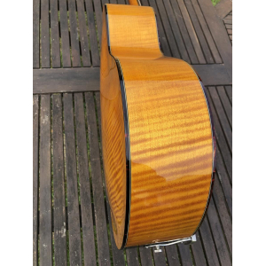 Weber Yellowstone Guitarra archtop