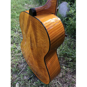 Weber Yellowstone Archtop Guitar