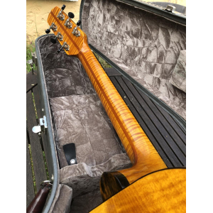 Weber Yellowstone Archtop Guitar