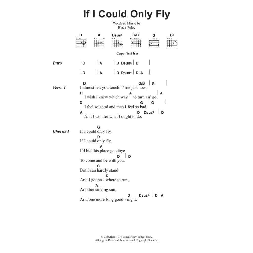 If I Could Only Fly