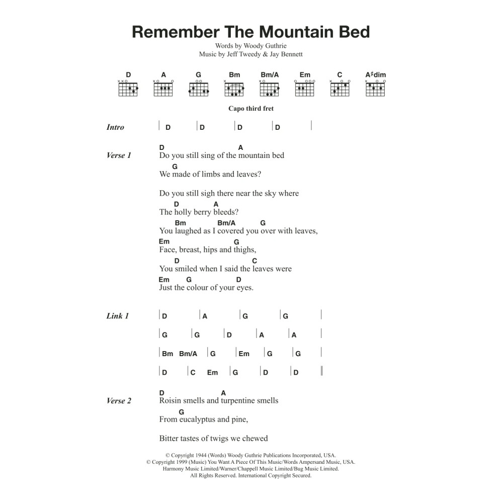Remember The Mountain Bed