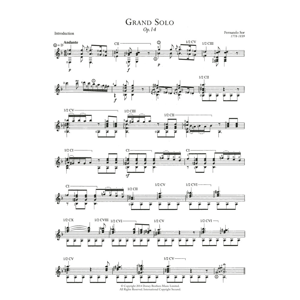Grand Solo Opus 14