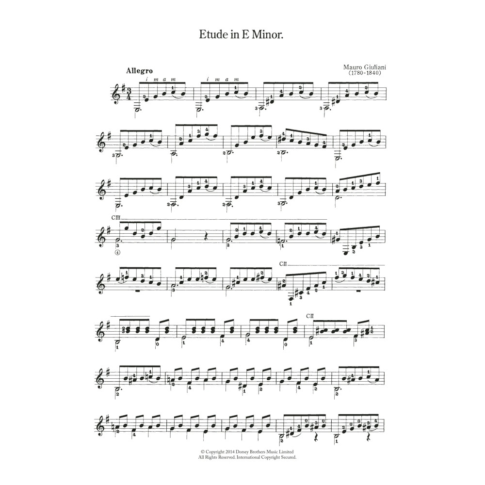 Etude In E Minor