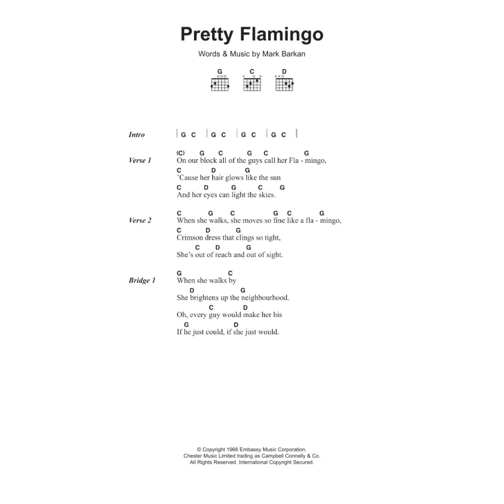 Pretty Flamingo