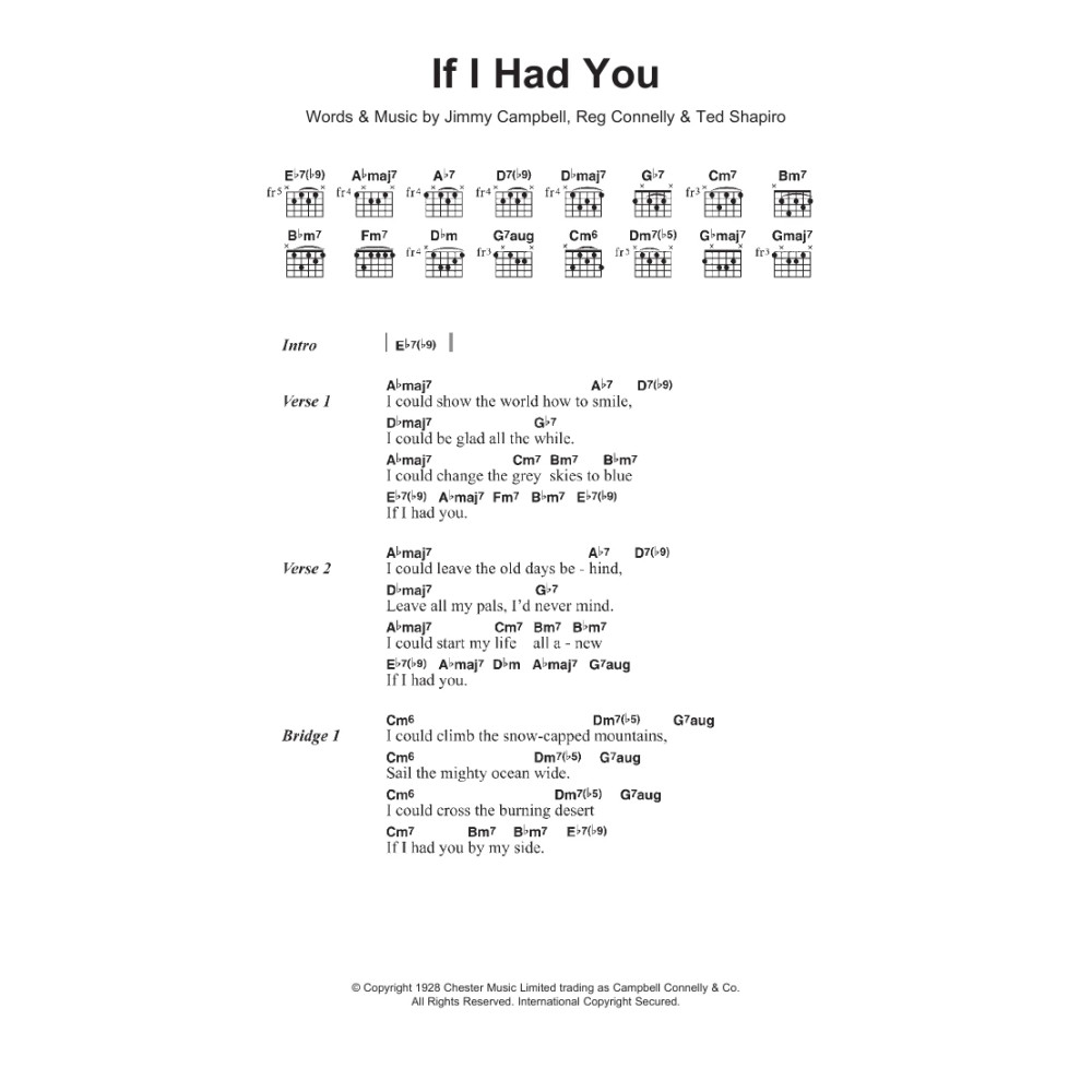 If I Had You