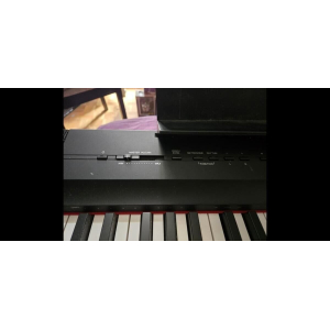 Yamaha P-125 with stand