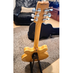 Vantage 635V natural