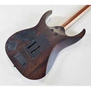 Ibanez RGIR20BFE Iron Label 2014 Walnut Flat