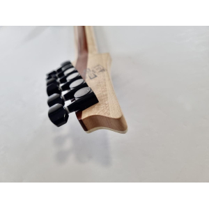 Ibanez RGIR20BFE Iron Label 2014 Walnut Flat