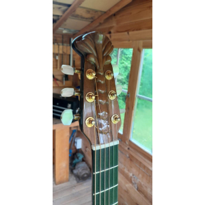 Adamas Custom Guitarra (1989)