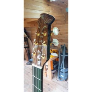 Adamas Custom Guitarra (1989)