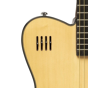 J.n Guitars Ew3000cn