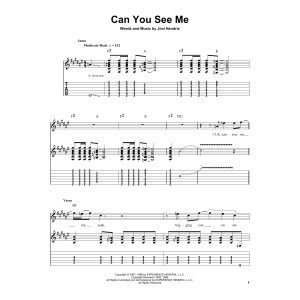 Can You See Me