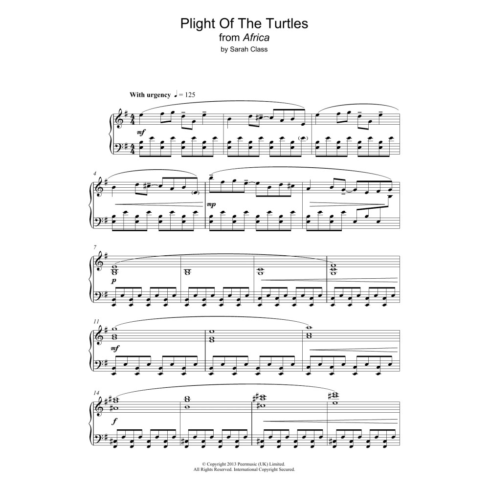 Plight Of The Turtles
