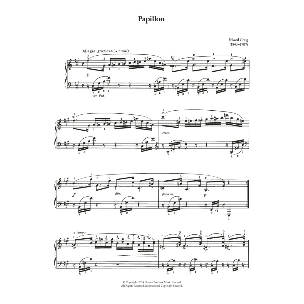 Papillon