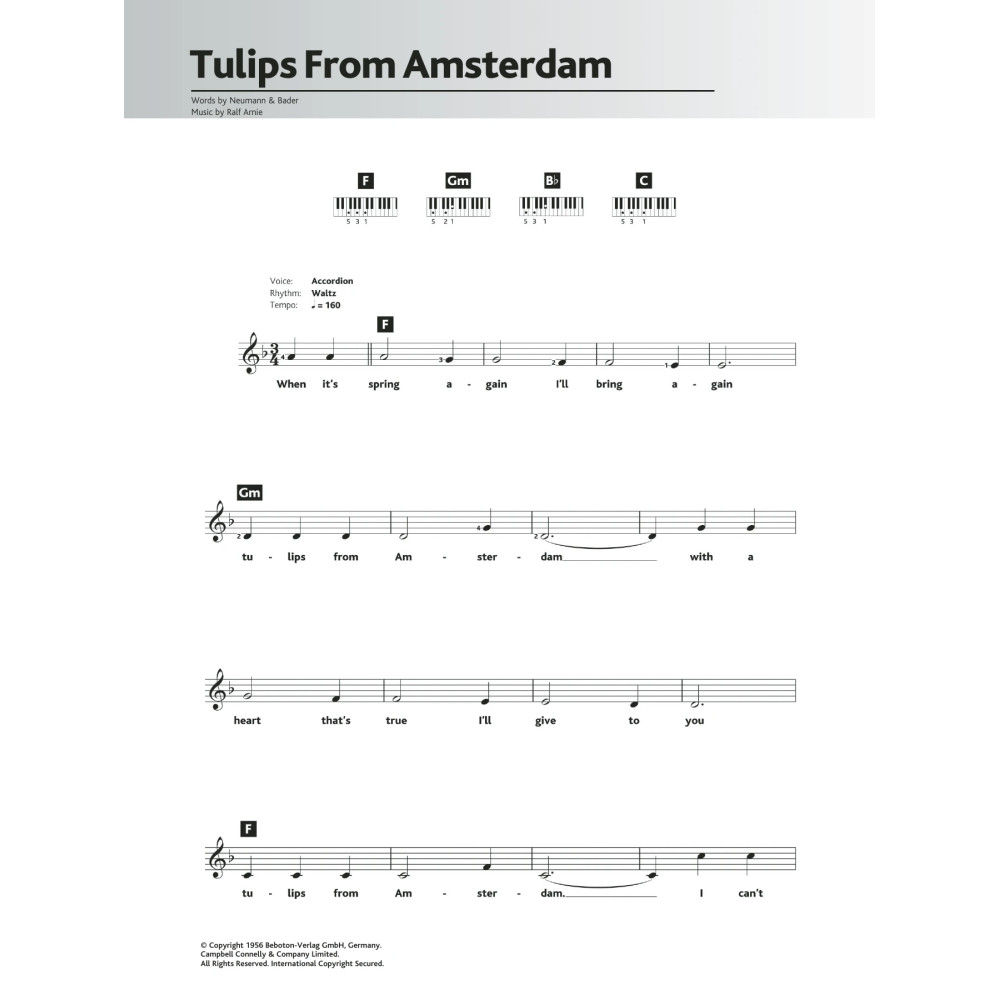 Tulips From Amsterdam