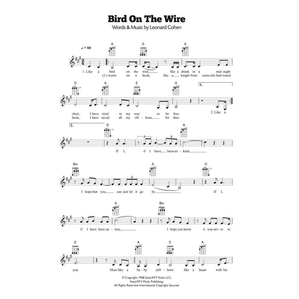 Bird On The Wire (Bird On A Wire)