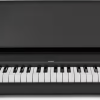Korg B2 is a versatile digital piano that offers realistic piano sound and feel. With its 88-key Natural Weighted Hammer Action