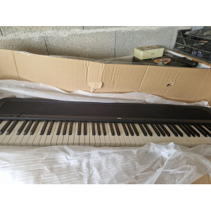 Korg B2 is a versatile digital piano that offers realistic piano sound and feel. With its 88-key Natural Weighted Hammer Action