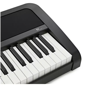 Korg B2 is a versatile digital piano that offers realistic piano sound and feel. With its 88-key Natural Weighted Hammer Action