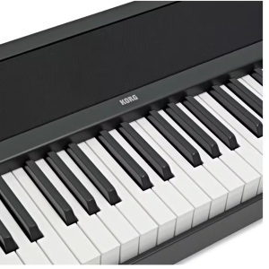 Korg B2 is a versatile digital piano that offers realistic piano sound and feel. With its 88-key Natural Weighted Hammer Action