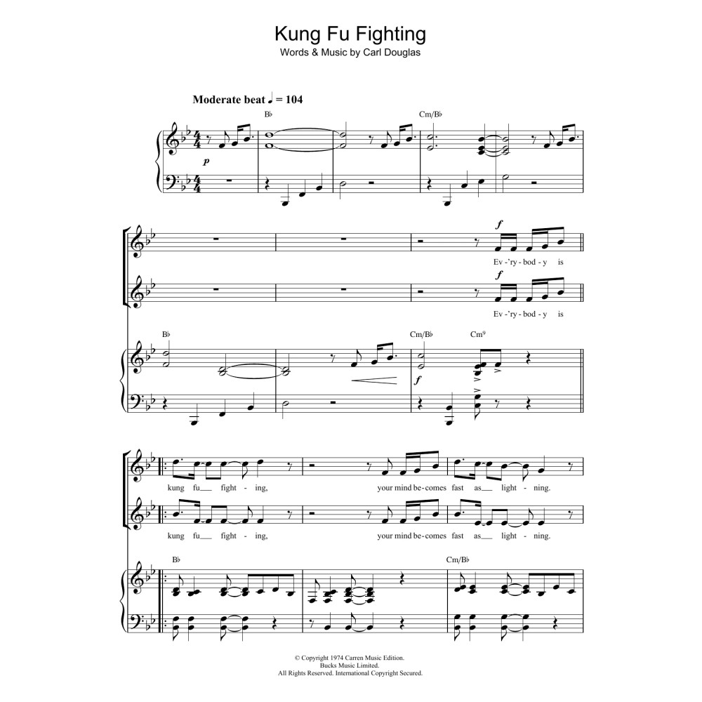 Kung Fu Fighting