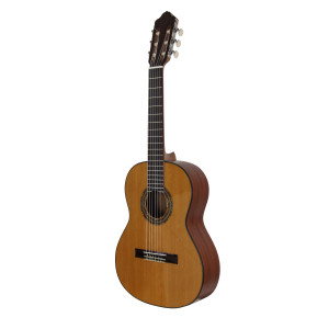 Gitarre Esteve 3st53 1/2 Decke Zeder Glänz