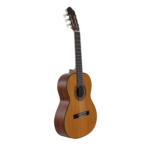 Gitarre Esteve 3st53 1/2 Decke Zeder Glänz
