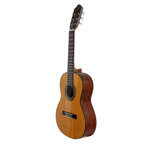 Gitarre Esteve 3st53 1/2 Decke Zeder Glänz