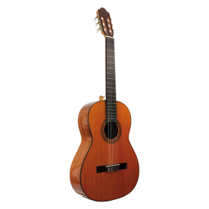 Esteve Guitar 3st63 7/8 Cedar Top