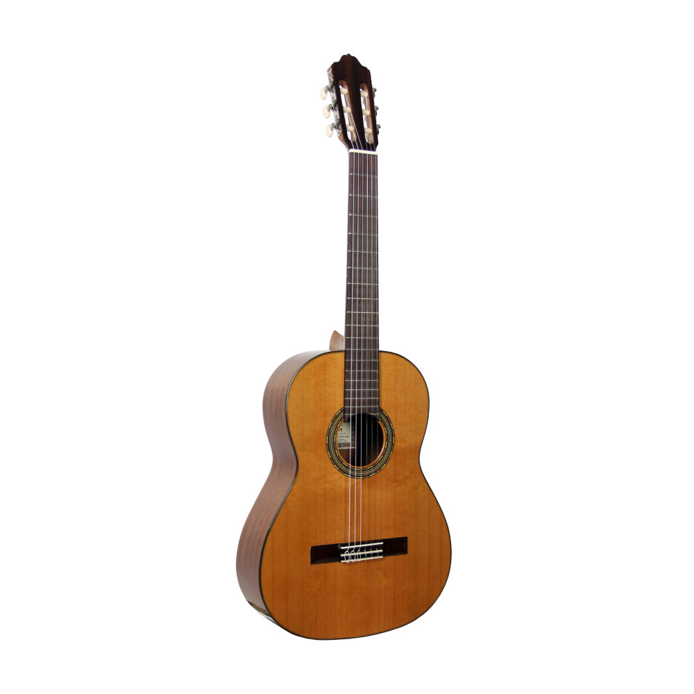 Guitarra Esteve de 4 cuerdas tapa de cedro brillante