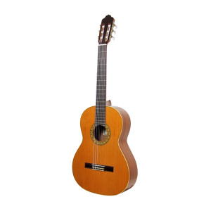 Gitarre Esteve Mod.1 F/e Bubinga