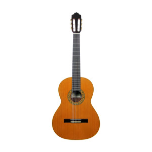 Gitarre Esteve Mod.1 F/e Bubinga